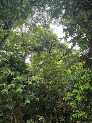 20250904_080756_copy_300x400